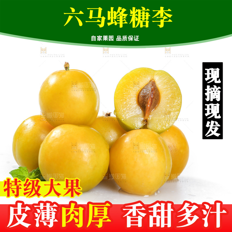白底上的蜂糖李