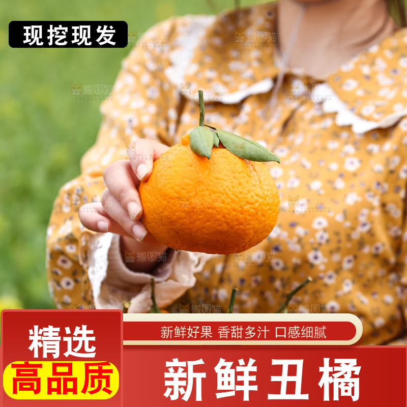 手里拿着丑八怪