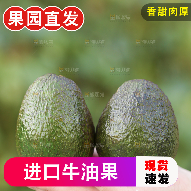 手里拿着秘鲁牛油果