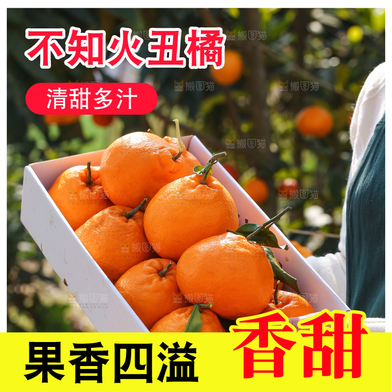 手里拿着丑八怪