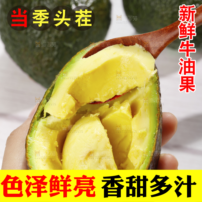 浅底上的巨无霸牛油果