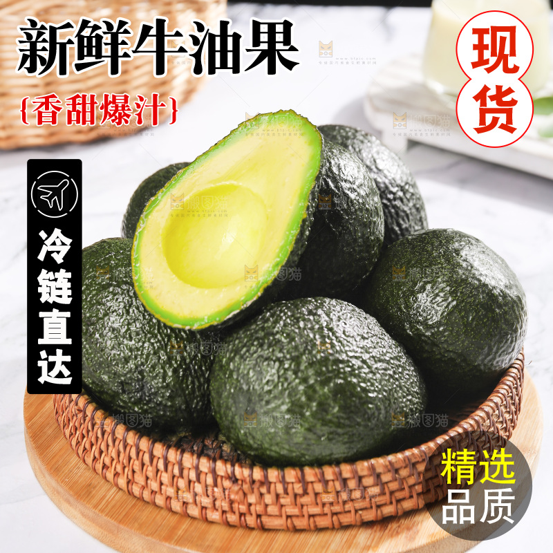 浅底上的巨无霸牛油果