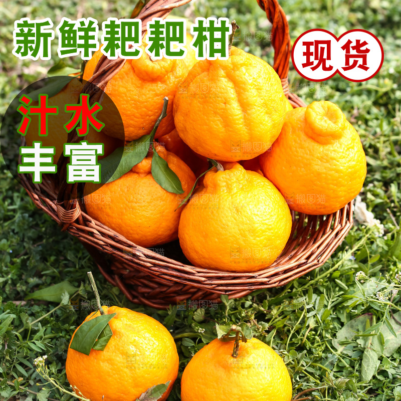 草地上的耙耙柑