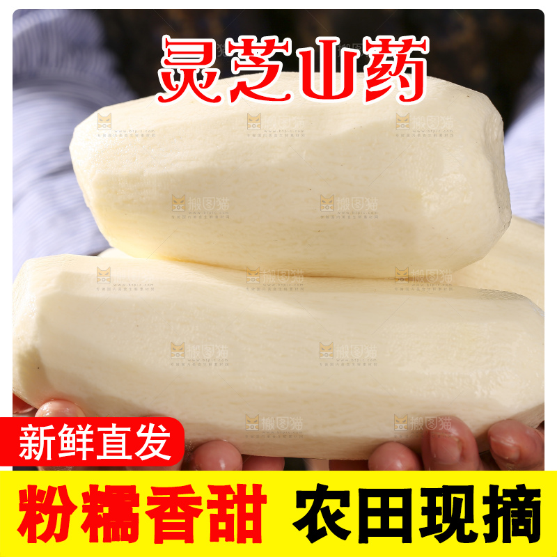 深底上放着灵芝山药
