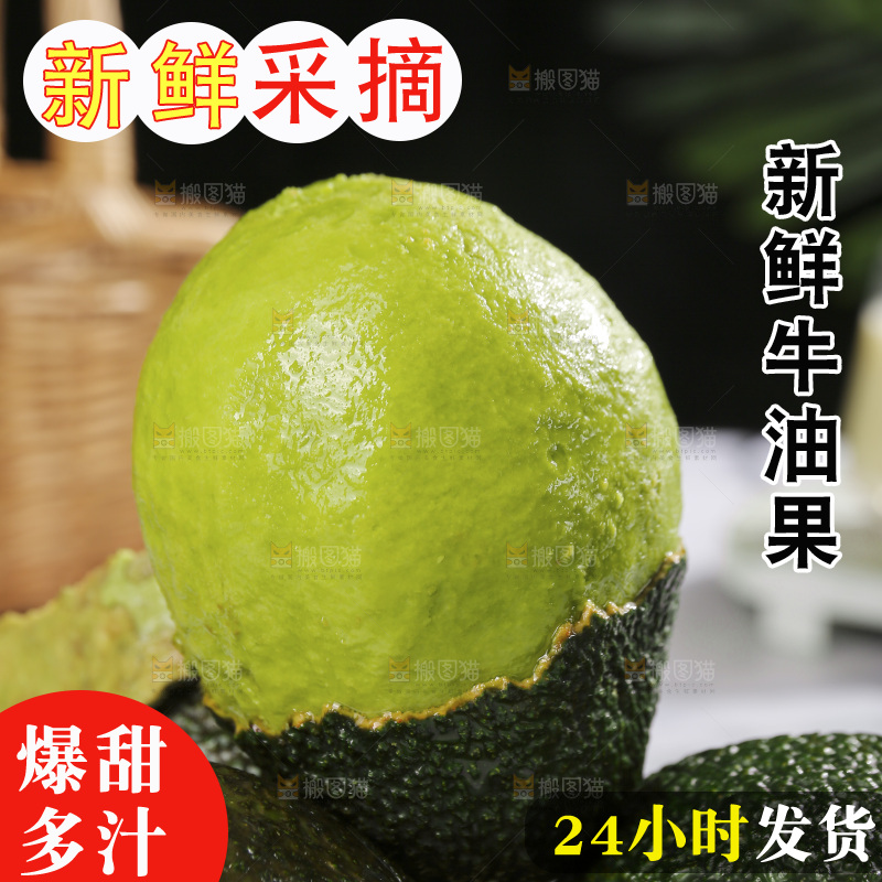 浅底上的巨无霸牛油果