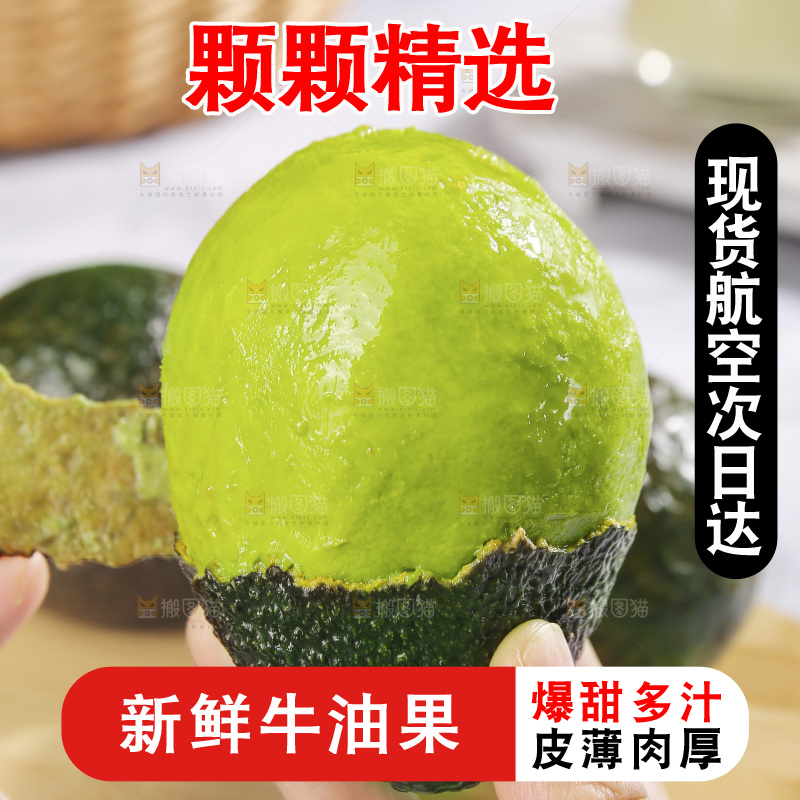 浅底上的巨无霸牛油果