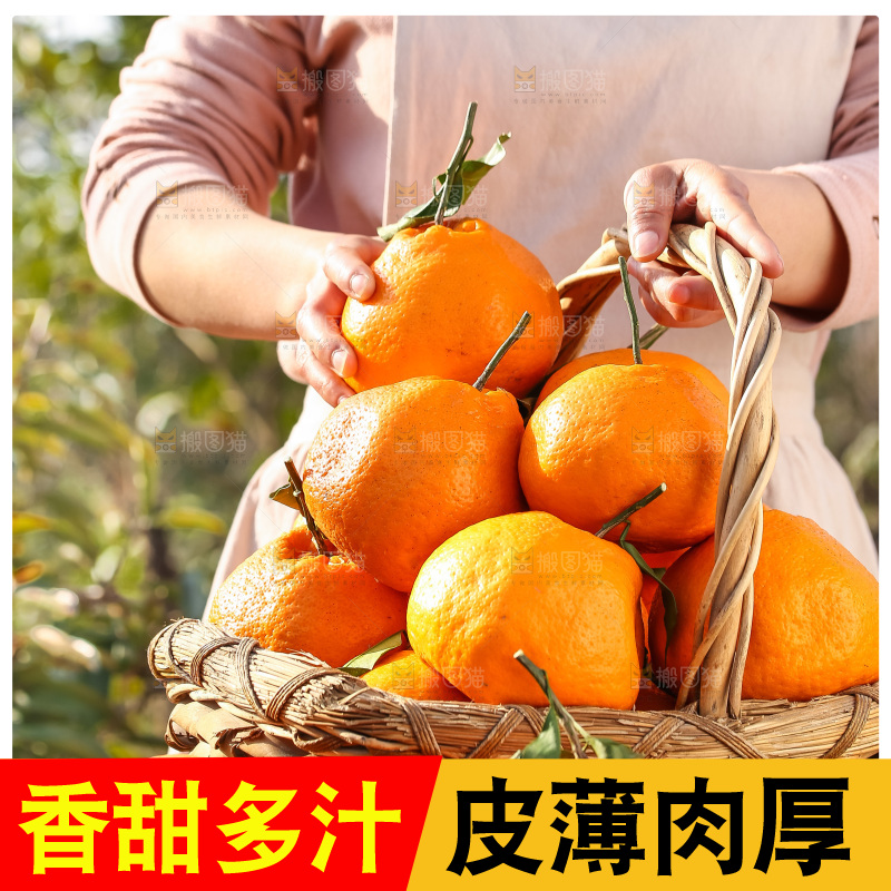 手里拿着丑八怪