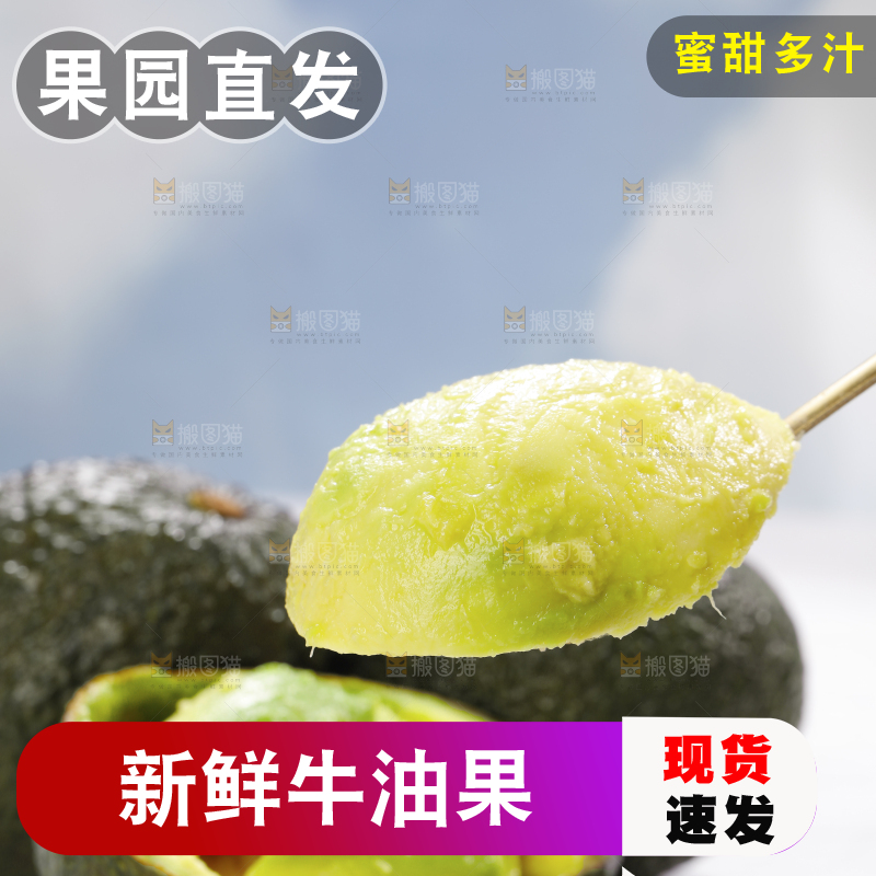 浅底上的巨无霸牛油果