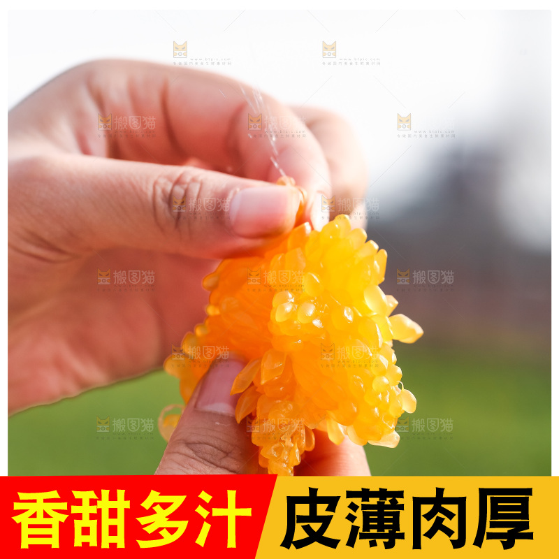 手里拿着丑八怪