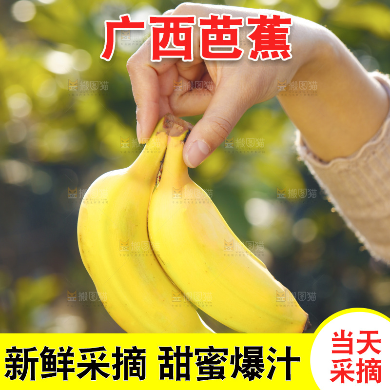 手里拿着广西芭蕉