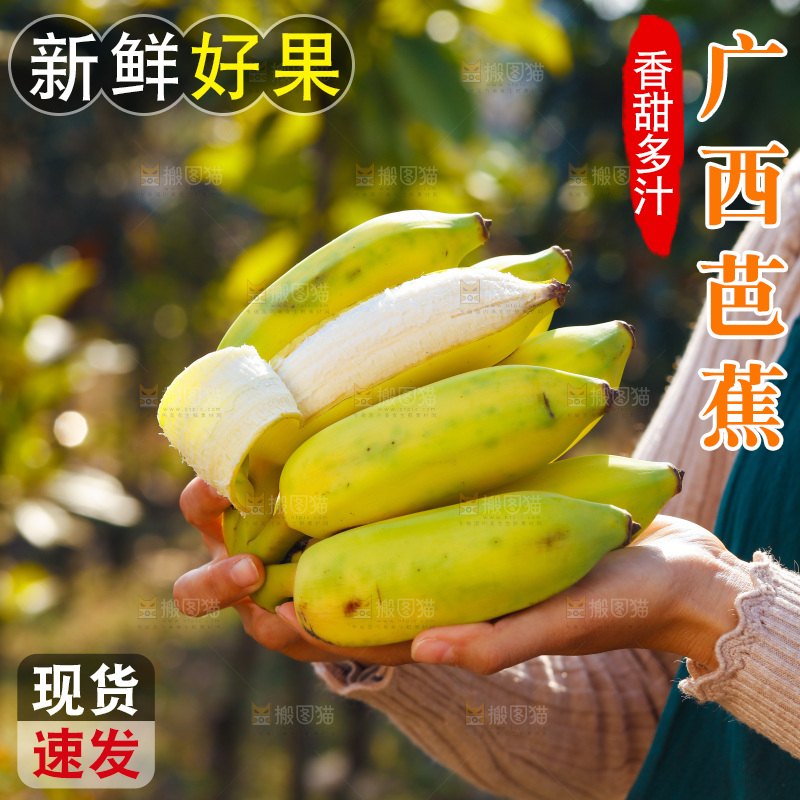 手里拿着广西芭蕉
