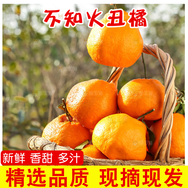 手里拿着丑八怪