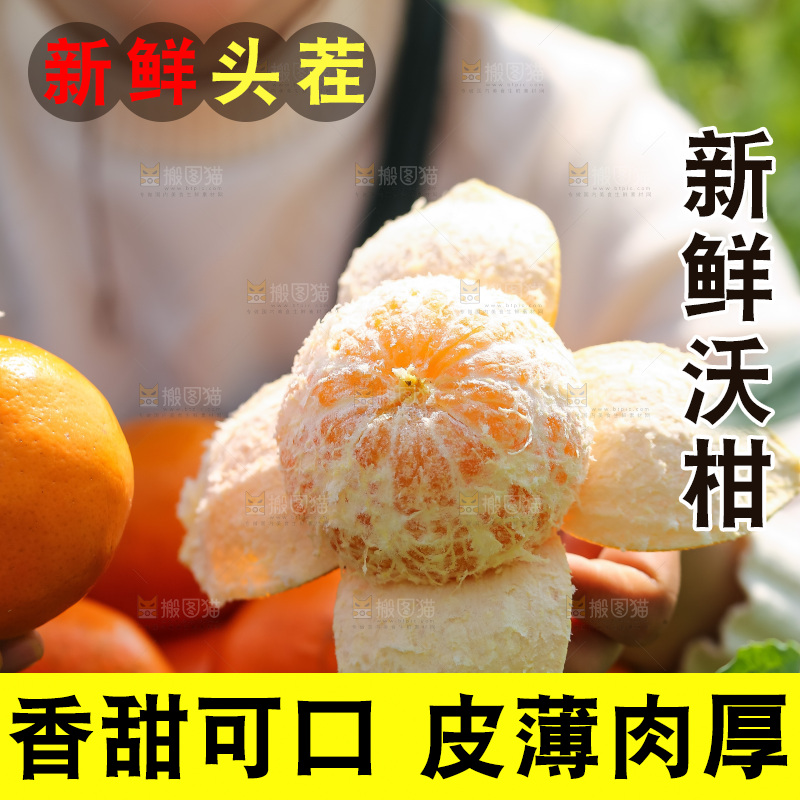 手里拿着新鲜沃柑