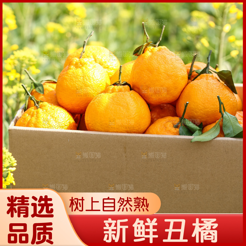 手里拿着丑八怪