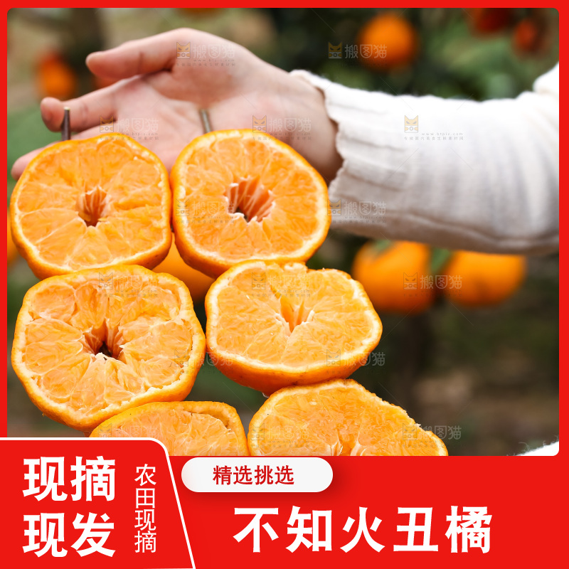 手里拿着丑八怪