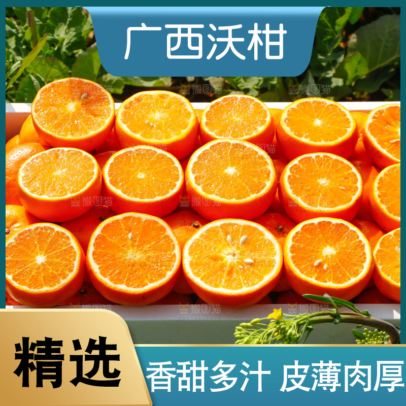 堆放着的新鲜沃柑