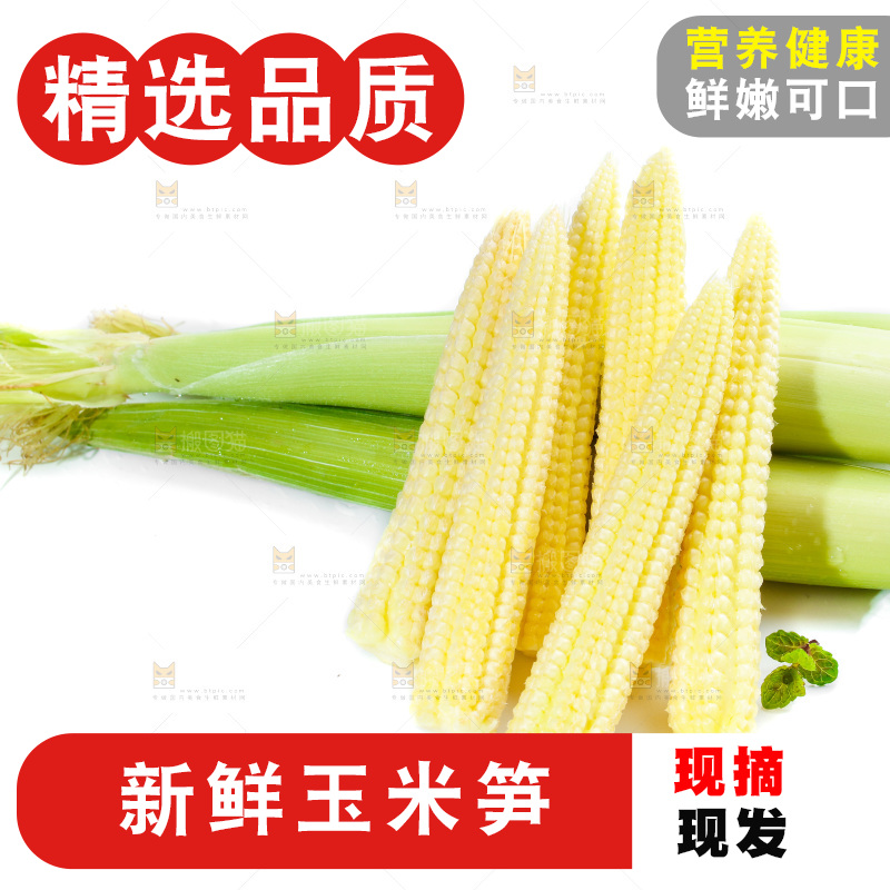 白底上的珍珠笋