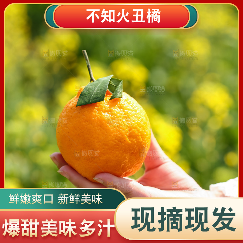 手里拿着丑八怪