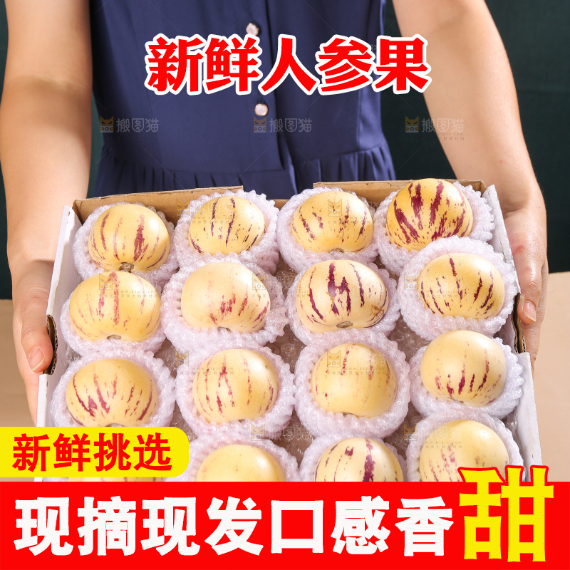 礼品盒里的人参果