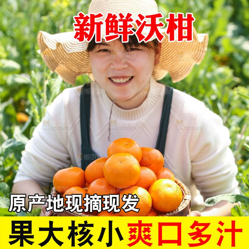 手里拿着新鲜沃柑