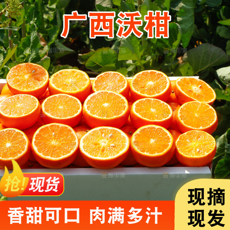 堆放着的新鲜沃柑