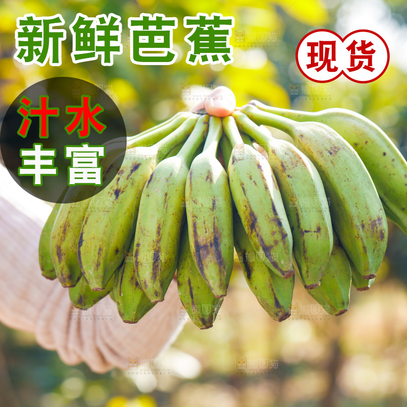 手里拿着广西芭蕉