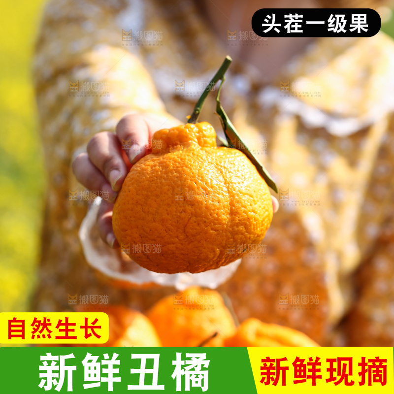 手里拿着丑八怪