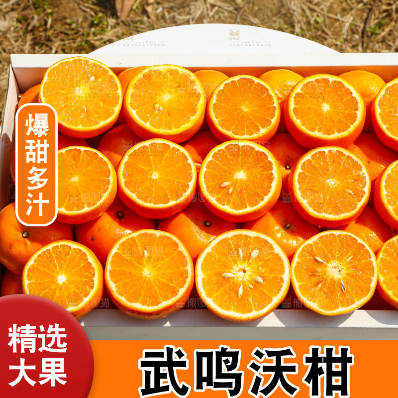 堆放着的新鲜沃柑