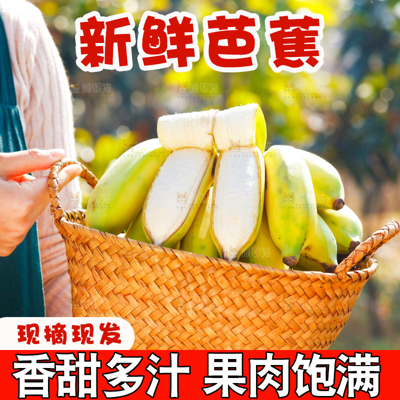 手里拿着广西芭蕉