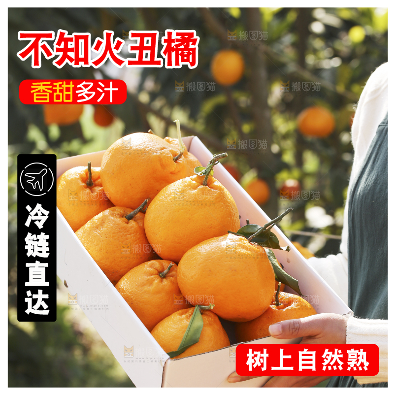 手里拿着丑八怪
