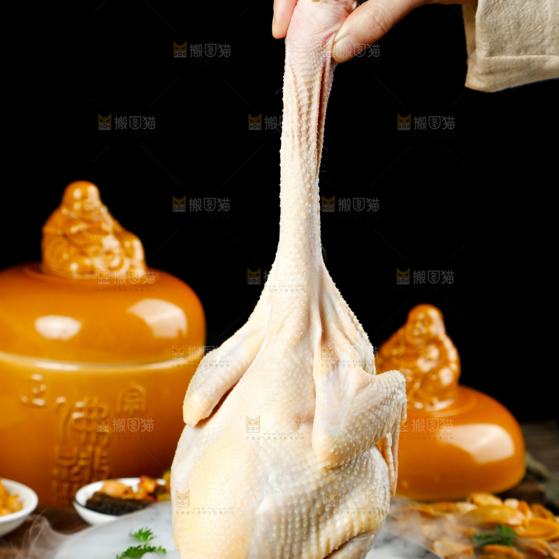 深底上的佛跳墙食材
