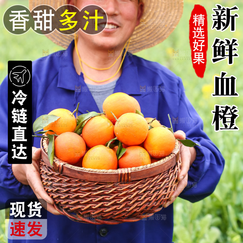 手里拿着赣南血橙