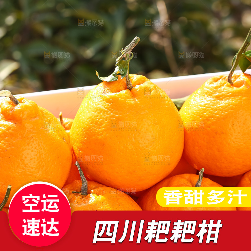 草地上的耙耙柑