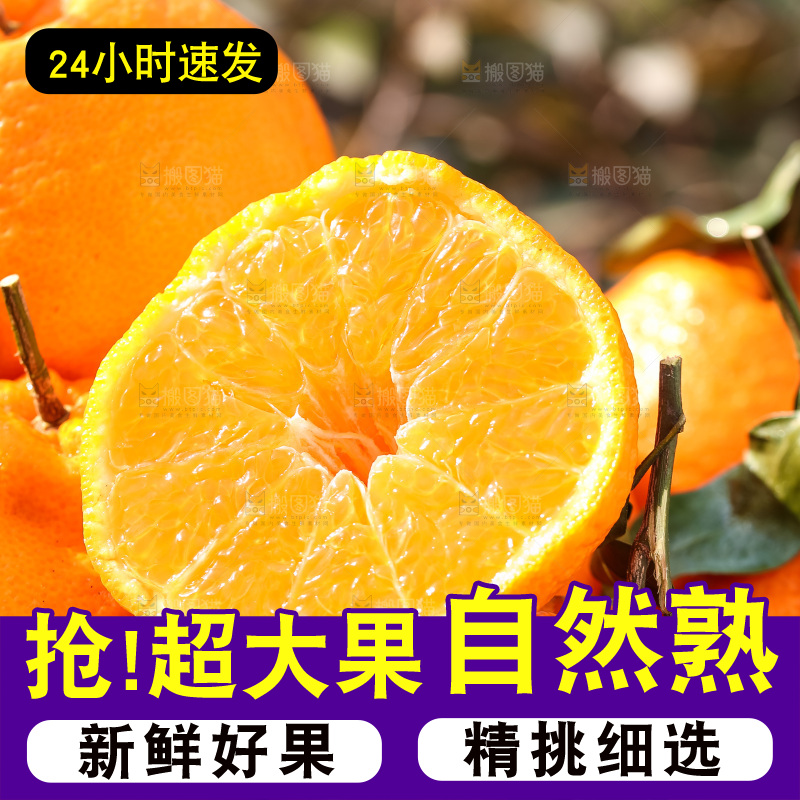 丑橘主图