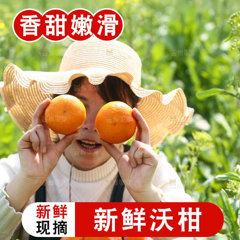 手里拿着新鲜沃柑