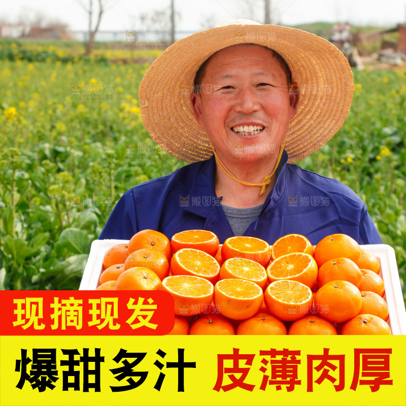 手里拿着沃柑