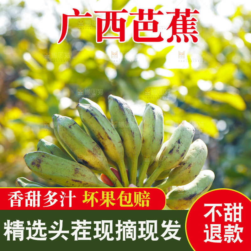 手里拿着广西芭蕉