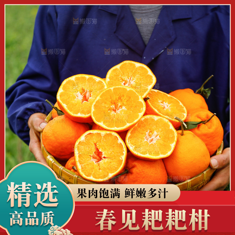 手里拿着耙耙柑