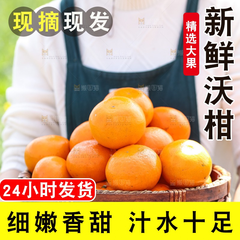 手里拿着新鲜沃柑