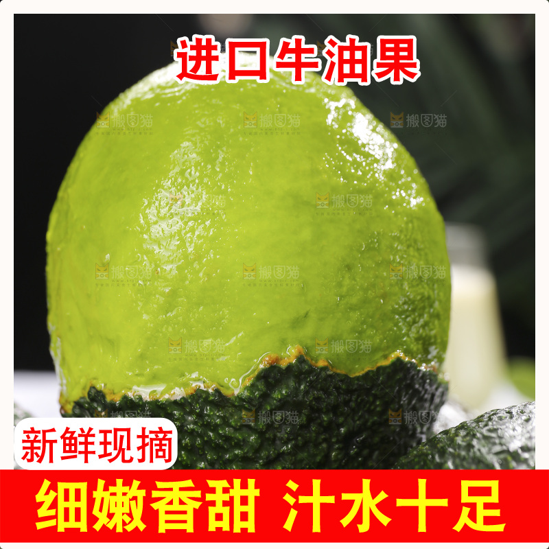 浅底上的巨无霸牛油果