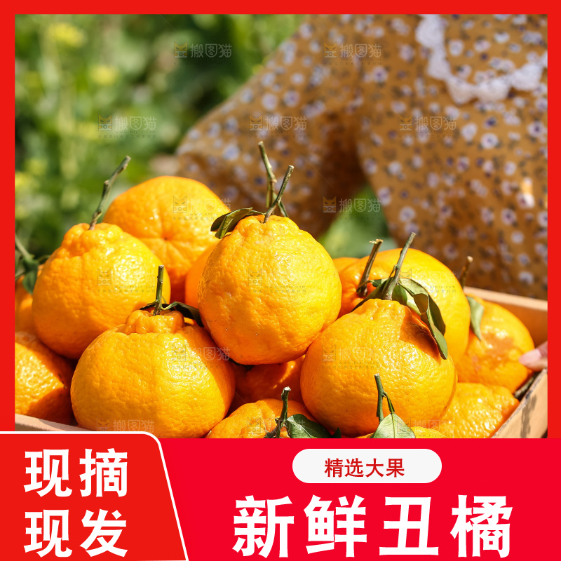 手里拿着丑八怪