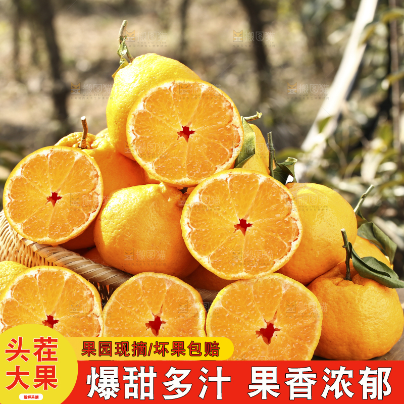 草地上的耙耙柑