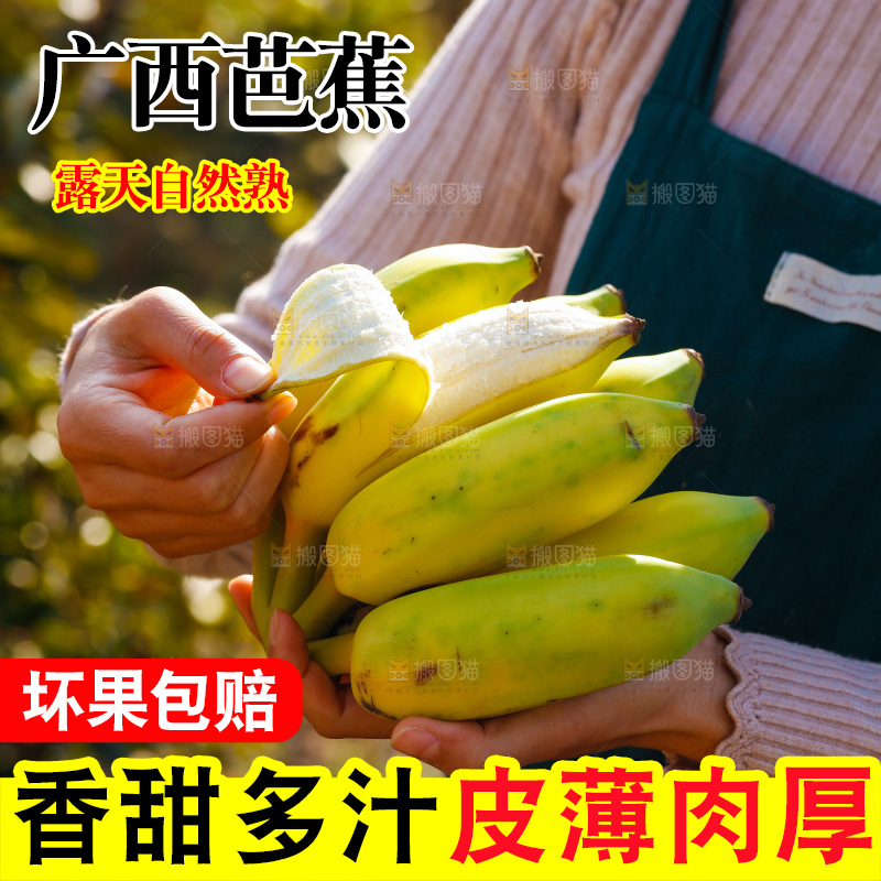手里拿着广西芭蕉