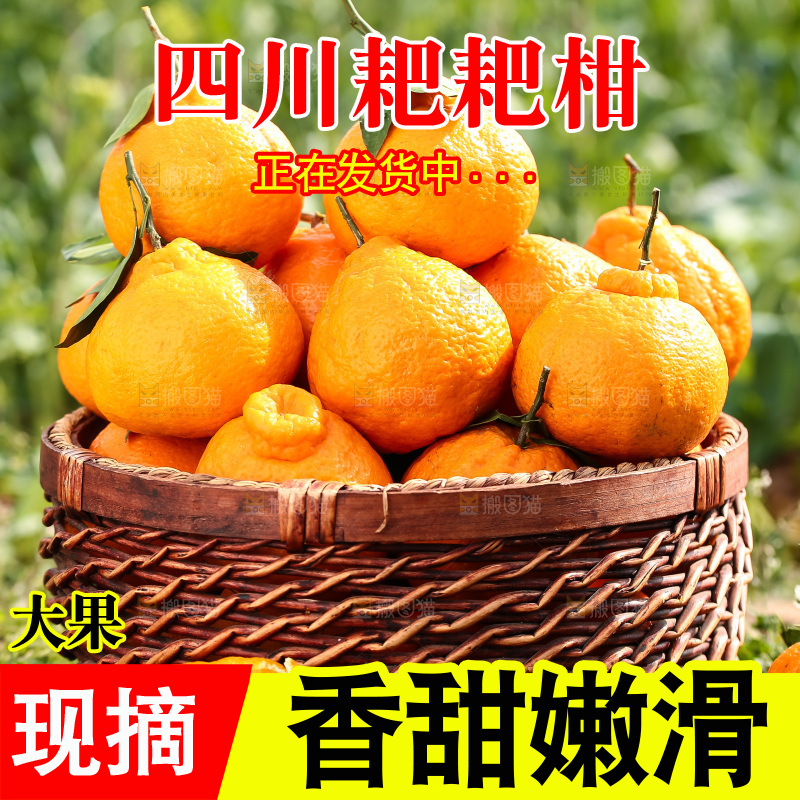 草地上的耙耙柑