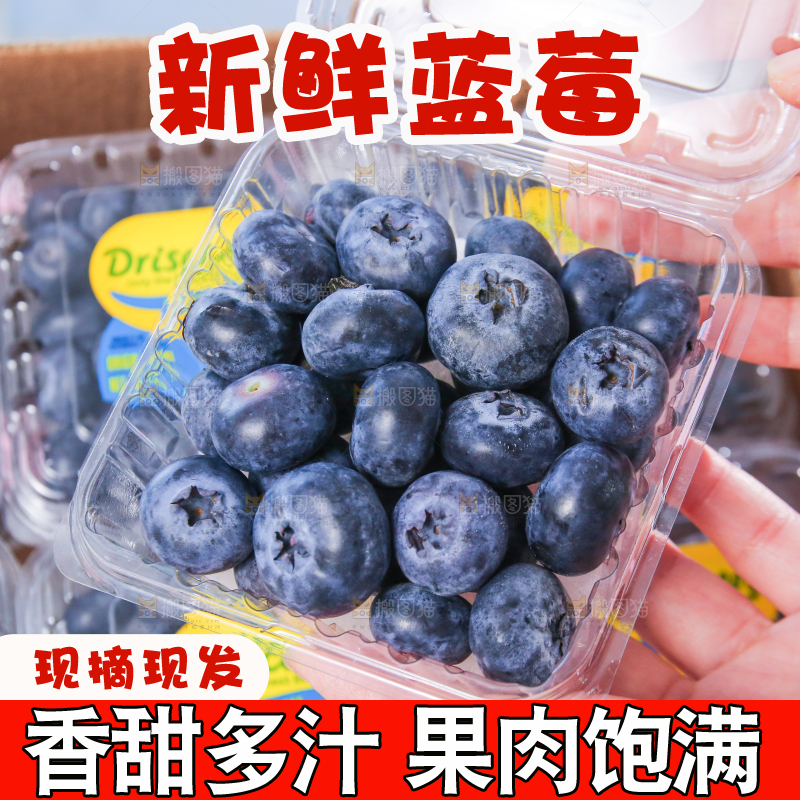 浅底上的新鲜蓝莓