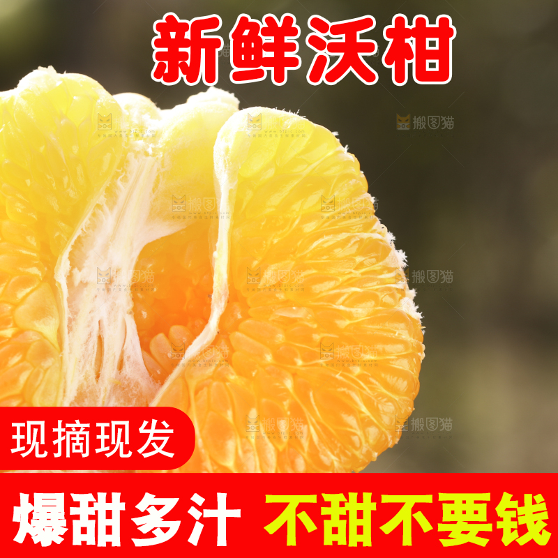手里拿着新鲜沃柑