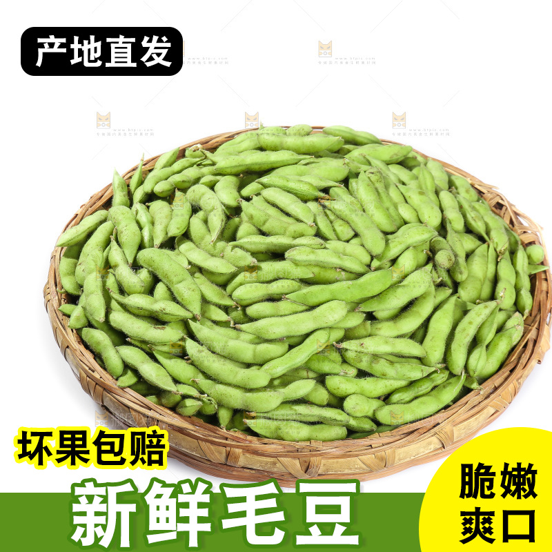 白底上的毛豆