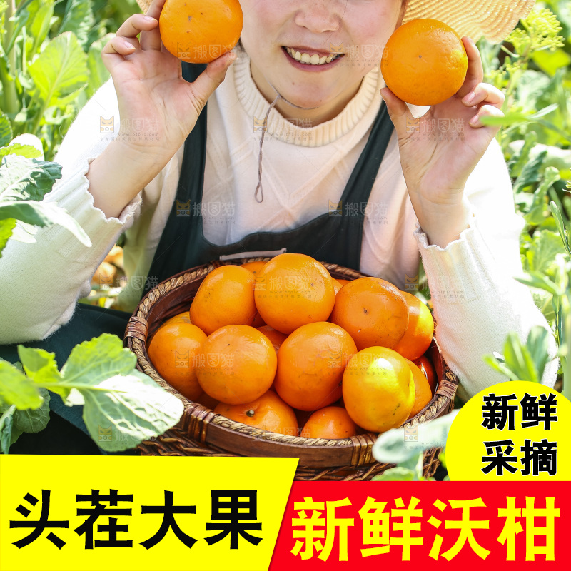 手里拿着新鲜沃柑