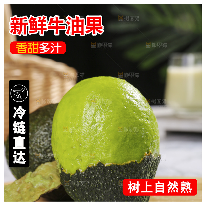 浅底上的巨无霸牛油果