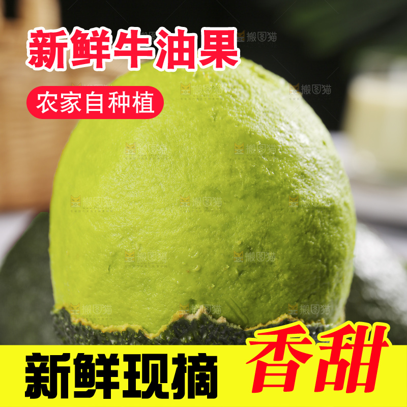 浅底上的巨无霸牛油果